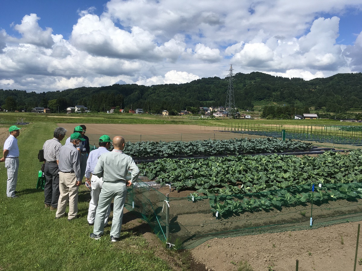新潟県農業総合研究所 中山間地農業技術センター まるまる川口